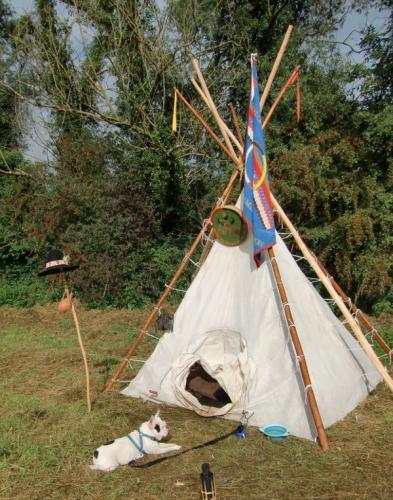 Havré 2014 - tipi et chien