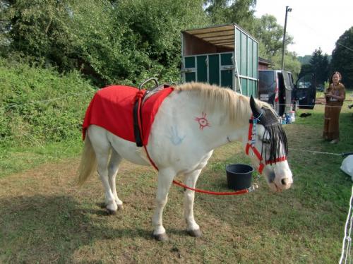 Havré 2016 - Mulan (poney indien) et Carine 