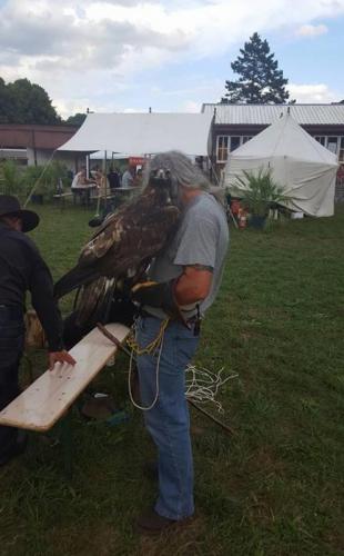 Havré 2016 - rapace - aigle royal européen