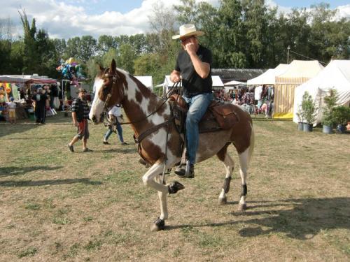 Havré 2019 - Camp ... cheval à l'exercice 