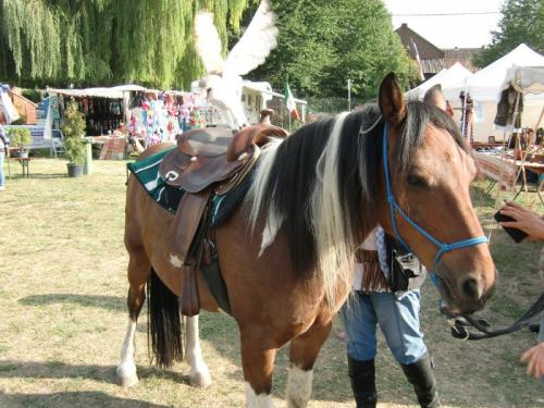 Havré 2019 - Camp ... les chevaux ... hou hou 