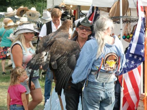 Havré 2019 - l'aigle royal dans toute sa majesté