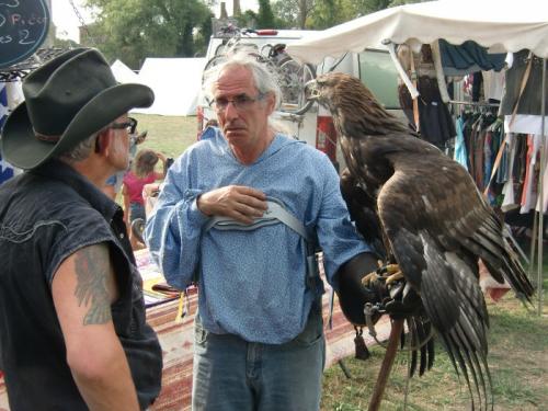 Havré 2019 - l'aigle royal dans toute se majesté ... attention aux doigts