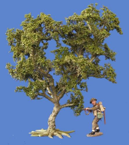 JG Miniatures - S02 - Small oak tree (petit chêne)