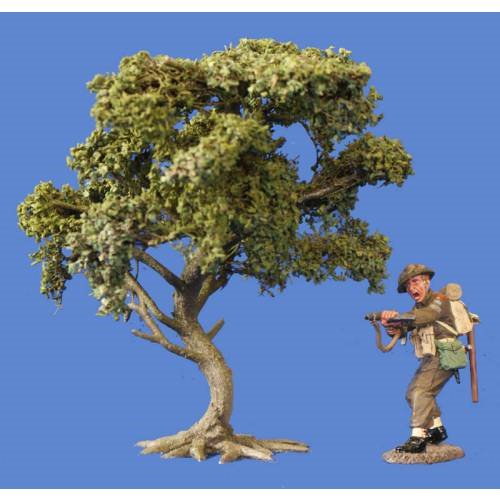 JG Miniatures - S04 - Bush Oak (chêne-buisson)