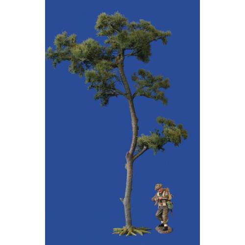 JG Miniatures - S30 - Scots pine tree (Pin sylvestre)