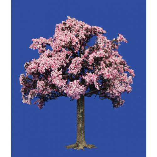 JG Miniatures - S40 - Small flowering cherry tree (petit cerisier en fleurs)