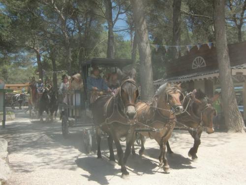 OK Corral - parade en rue avec divers charrettes